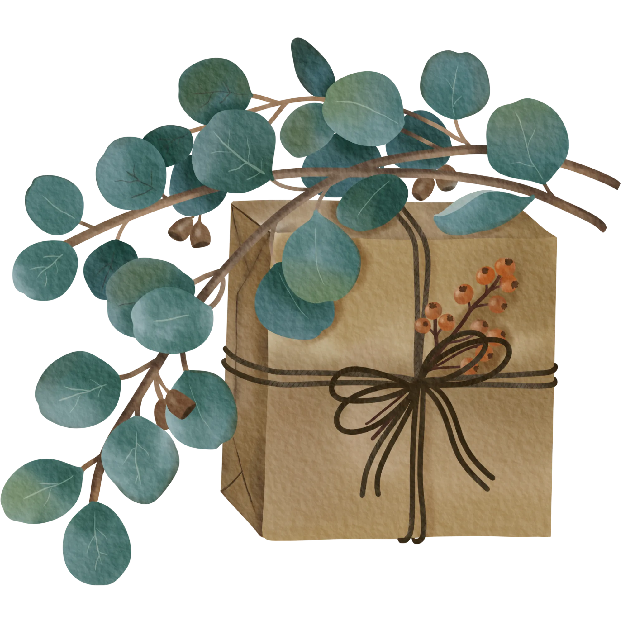 Illustration of a wrapped gift bag tied with ribbon beneath a eucalyptus branch