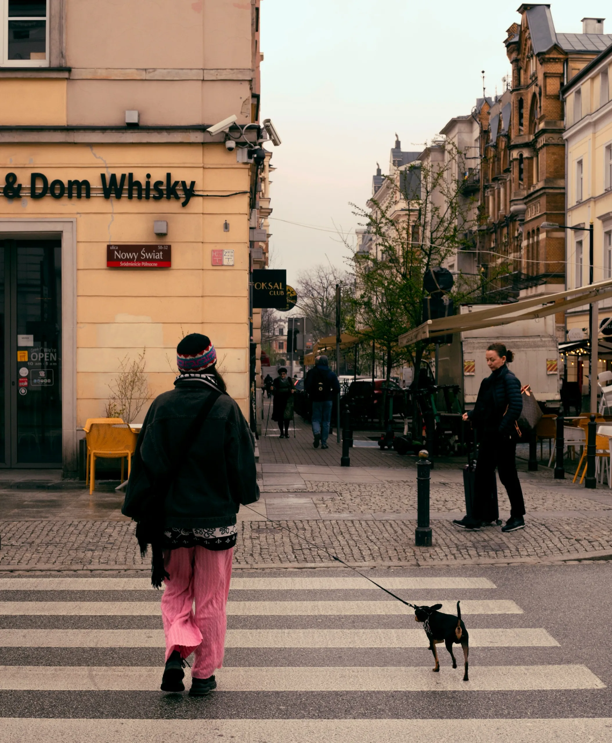 A person in pink pants and a knit hat walking a small black dog on a leash across a crosswalk